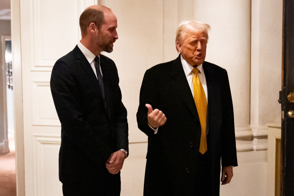 Mr Trump told the New York Post that William was 'very handsome'