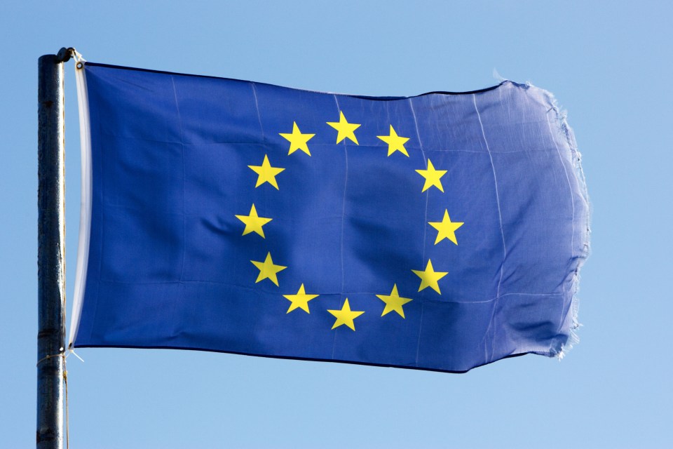 Four divisions would be inspired by the EU flag — Star, Gold, Blue and Union