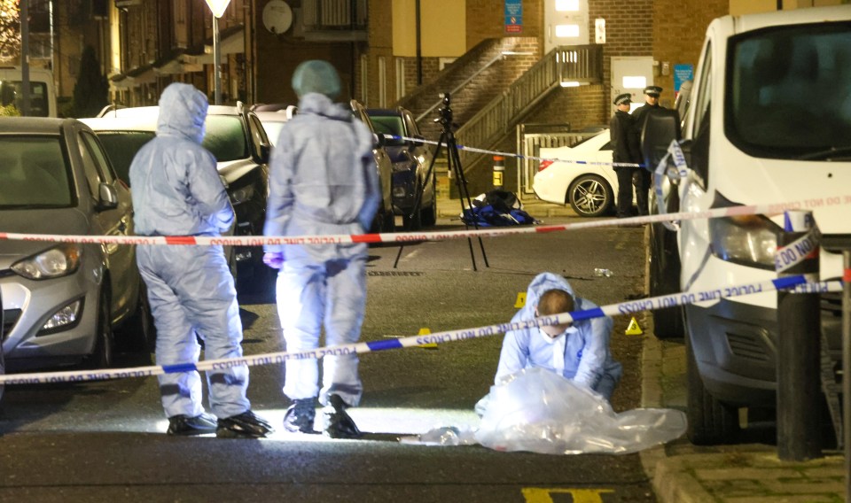 Teams comb the area in Gifford Road