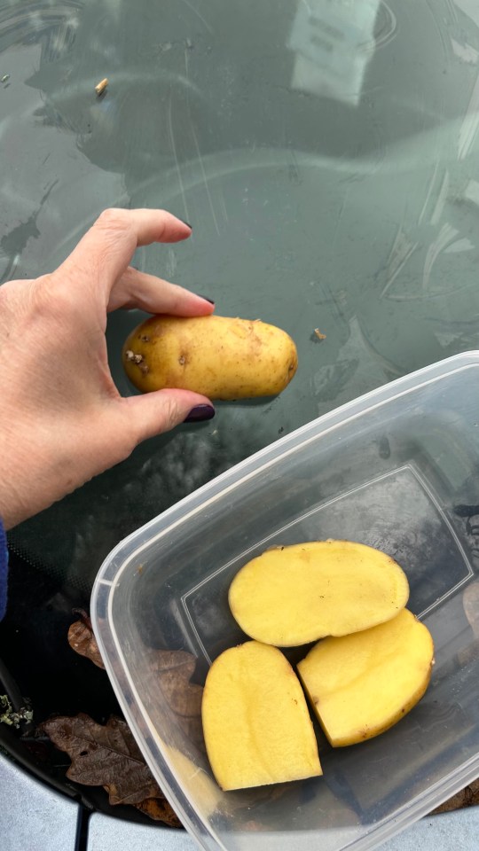 Sticky starch in potatoes creates a barrier between glass and moisture