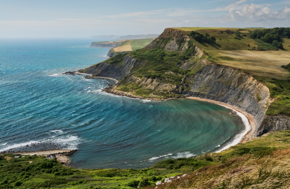 Officers were called to the beach at Worth Mattravers, near Swanage, Dorset