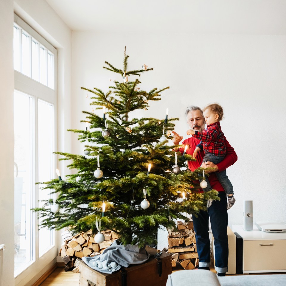 Choosing the right fir can be the difference between a tree looking good for weeks, or wilting on Christmas Day