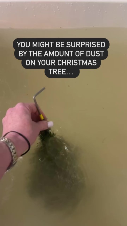 Tanja was shocked to find out how much dirt came off her Christmas tree