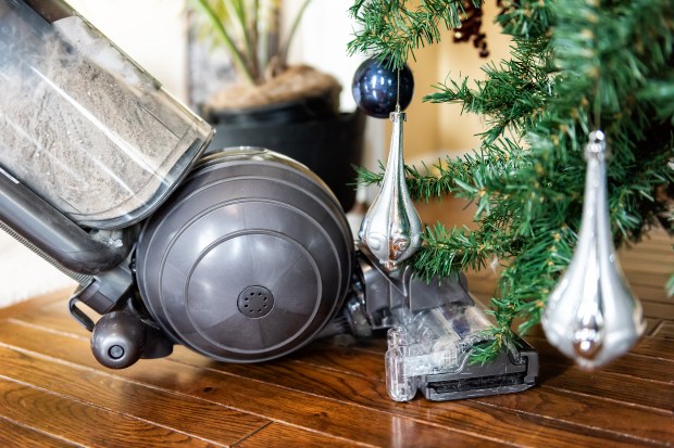 Upright vacuum cleaner cleaning under a Christmas tree.