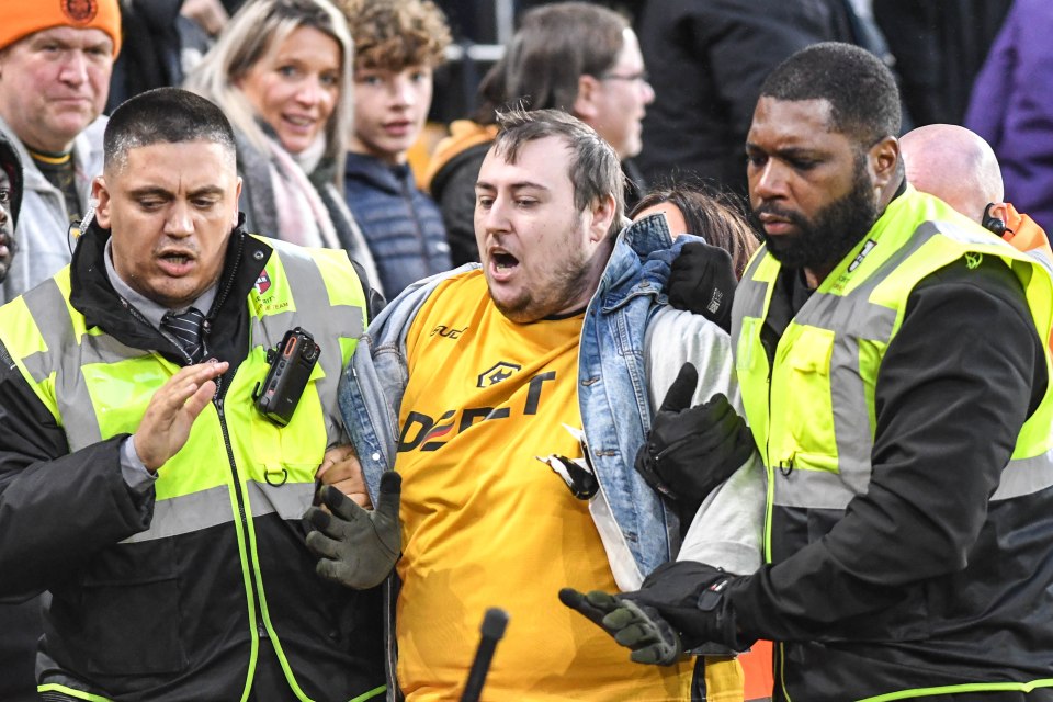 A fan in a Wolves shirt was escorted from the stands