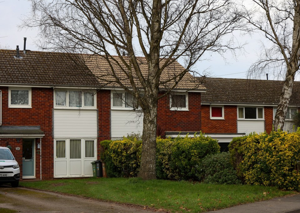 Locals in Worcester say a silver birch tree is a safety hazard to residents