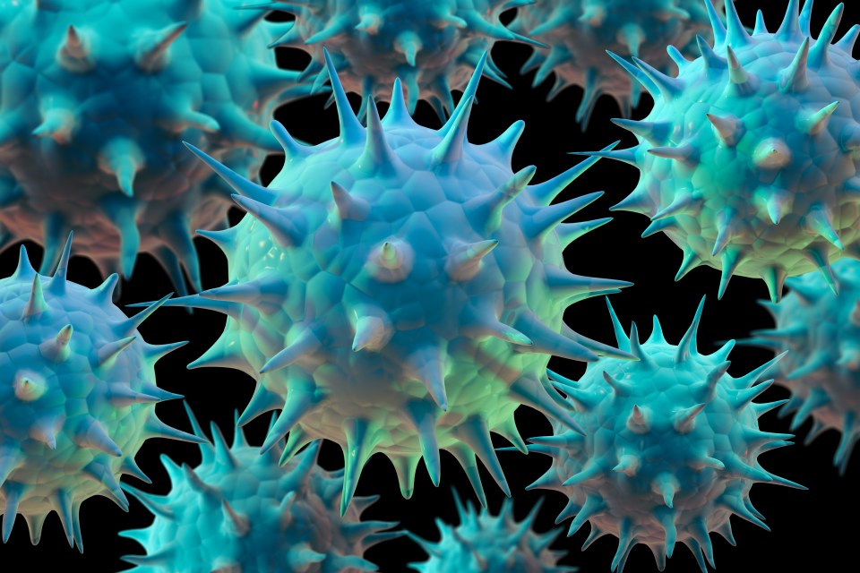 Computer-generated image of monkeypox viruses.