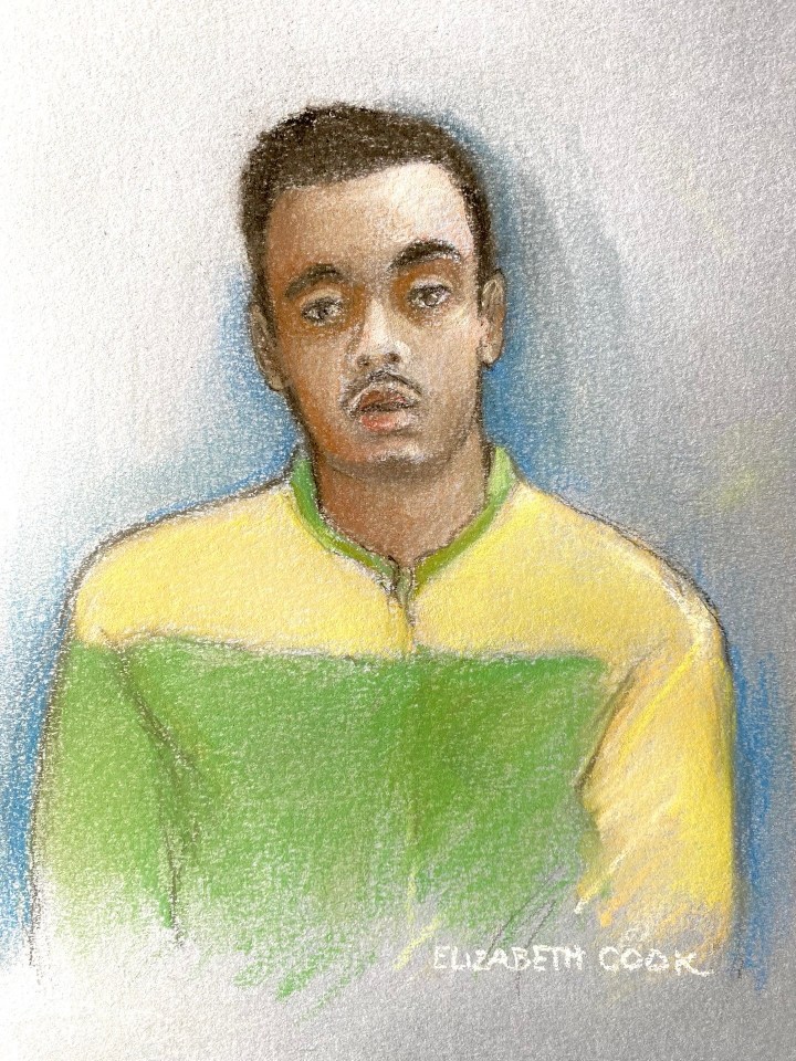 Court sketch of Nasen Saadi appearing via video link at Winchester Crown Court in June earlier this year