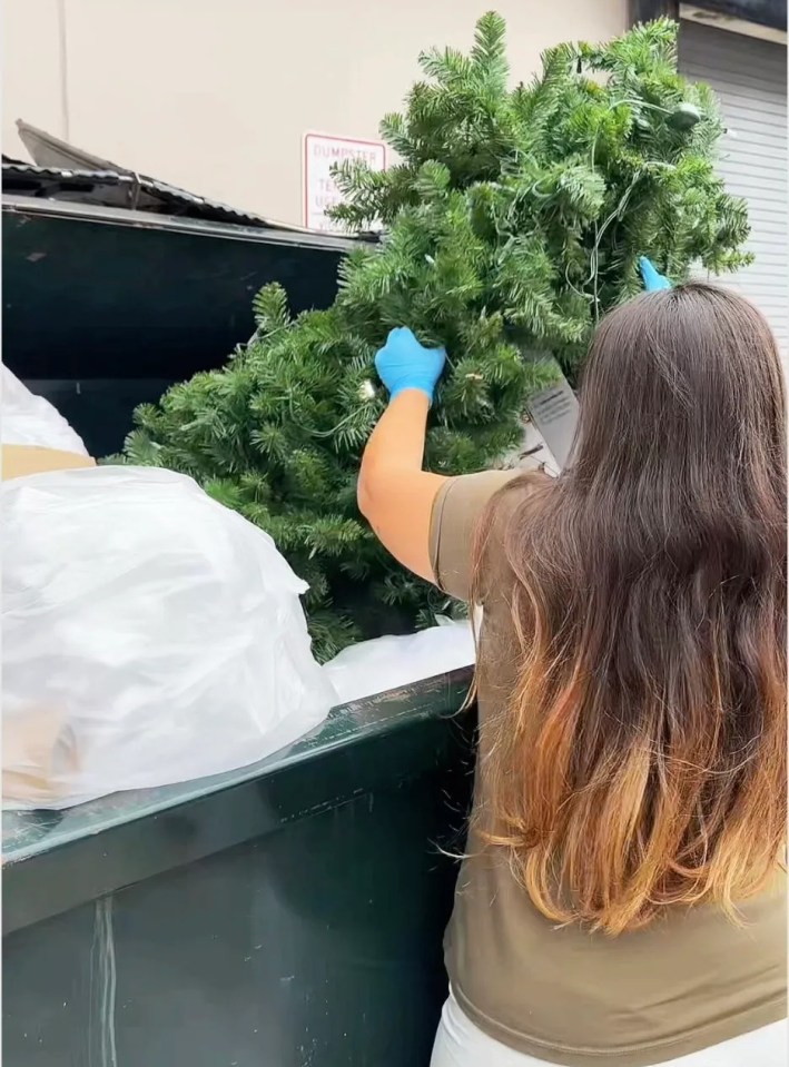 Woman retrieving a discarded Christmas tree from a dumpster.