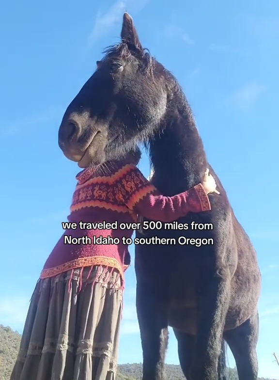 Woman hugging a horse, having traveled over 500 miles from North Idaho to Southern Oregon.