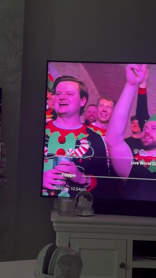 Darts fan's surprised reaction to being on TV.