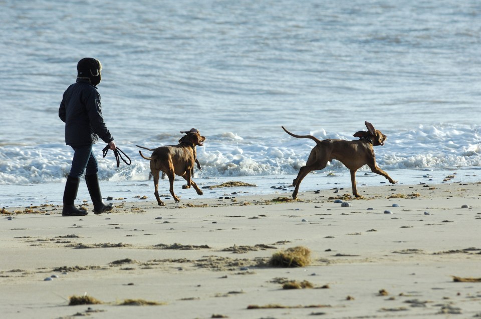 Take a peaceful beach walk at Winterton