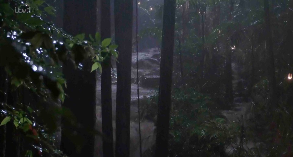 Bosses prepared to move the stars into the Bush Telegraph after the deluge