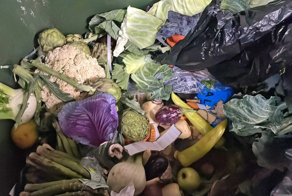 She visits bins by supermarkets and takes produce that has been thrown away