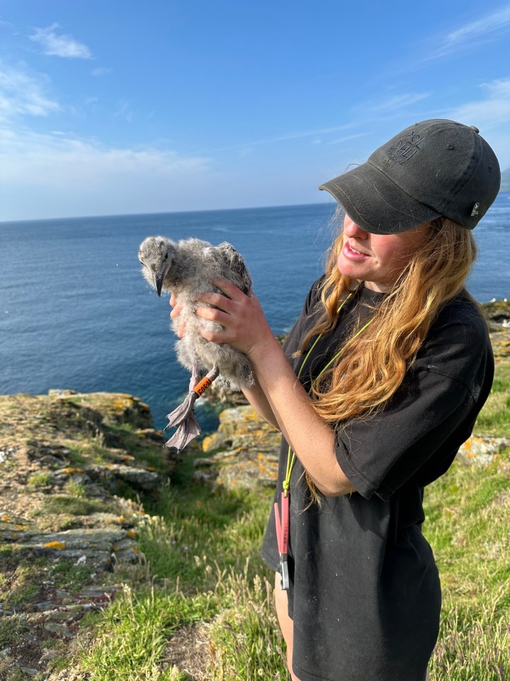 A woman holds a young seabird near the ocean.