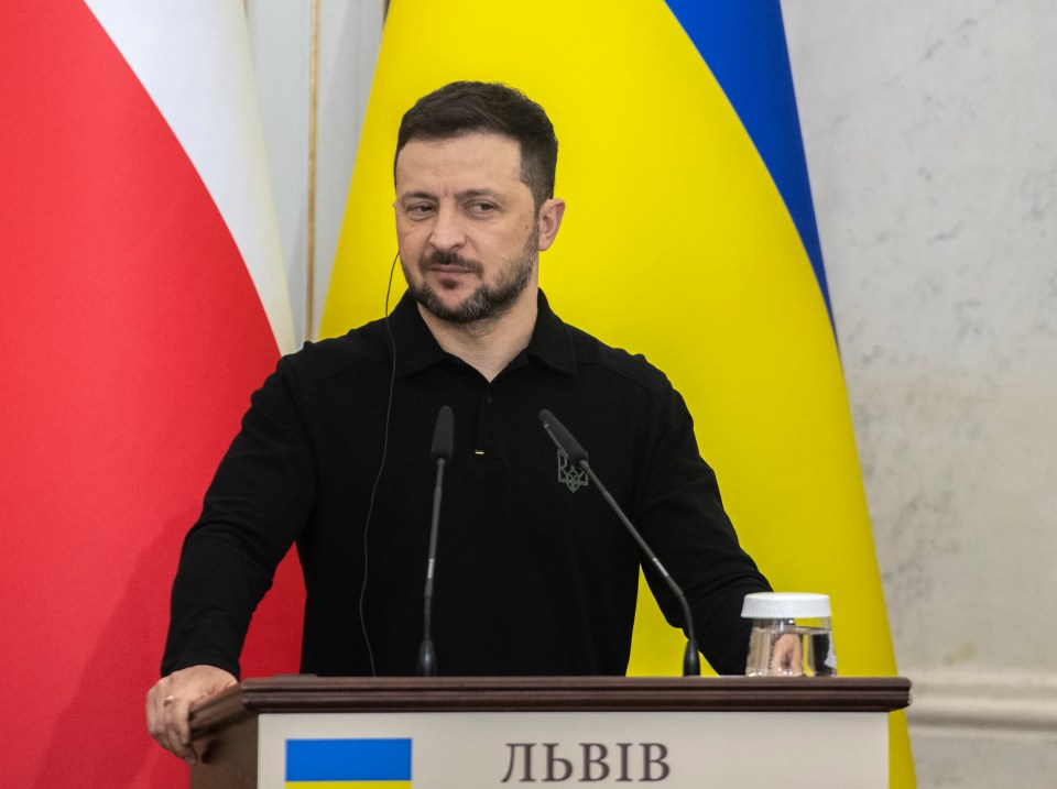 Ukrainian President Volodymyr Zelensky has led his country through almost three years of war with Russia