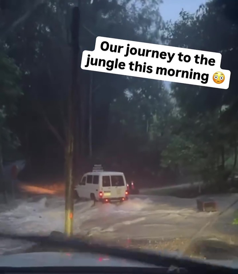 Hosts Ant and Dec shared a video of their journey into camp on Instagram