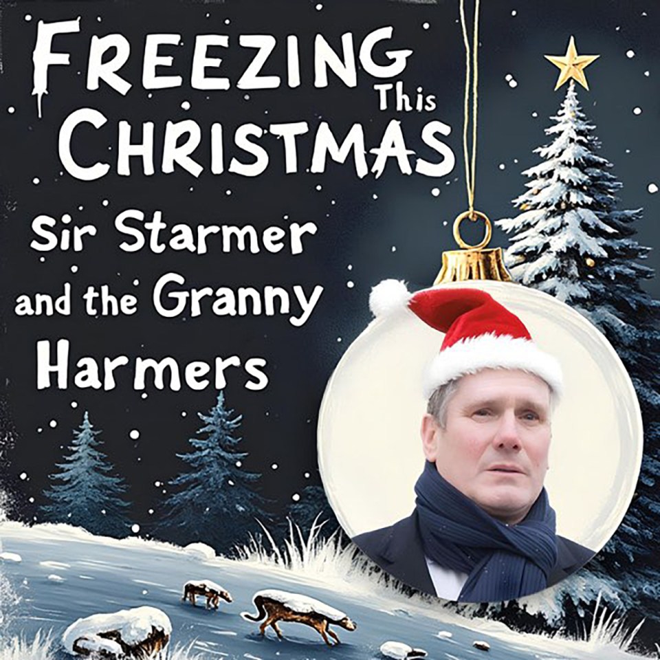 Freezing This Christmas is performed by Sir Starmer and the Granny Harmers