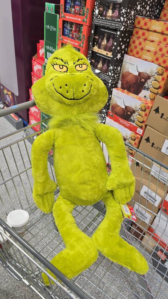 Aldi shoppers have gone wild for a stuffed Grinch toy