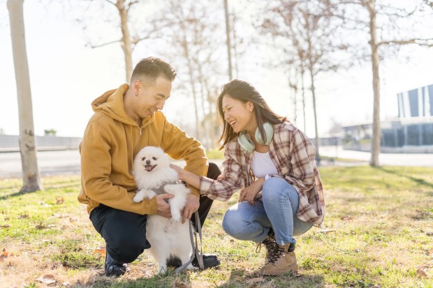 Couple enjoying a sunny stroll in the park with their dog.