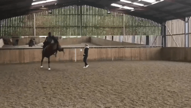 Footage of the dressage rider beating a horse with a whip caused her to pull out of the Paris Olympics