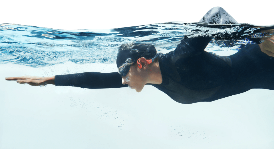 Swimmer underwater wearing a wetsuit and goggles.