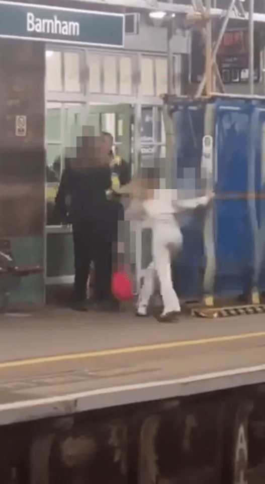 Shocking footage of the attack at Barnham station