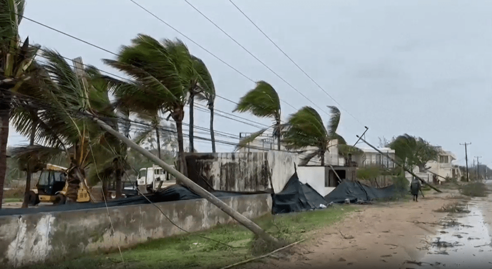 Trees have been uprooted across the island