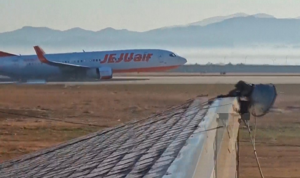 Jeju Air plane taxiing on a runway.