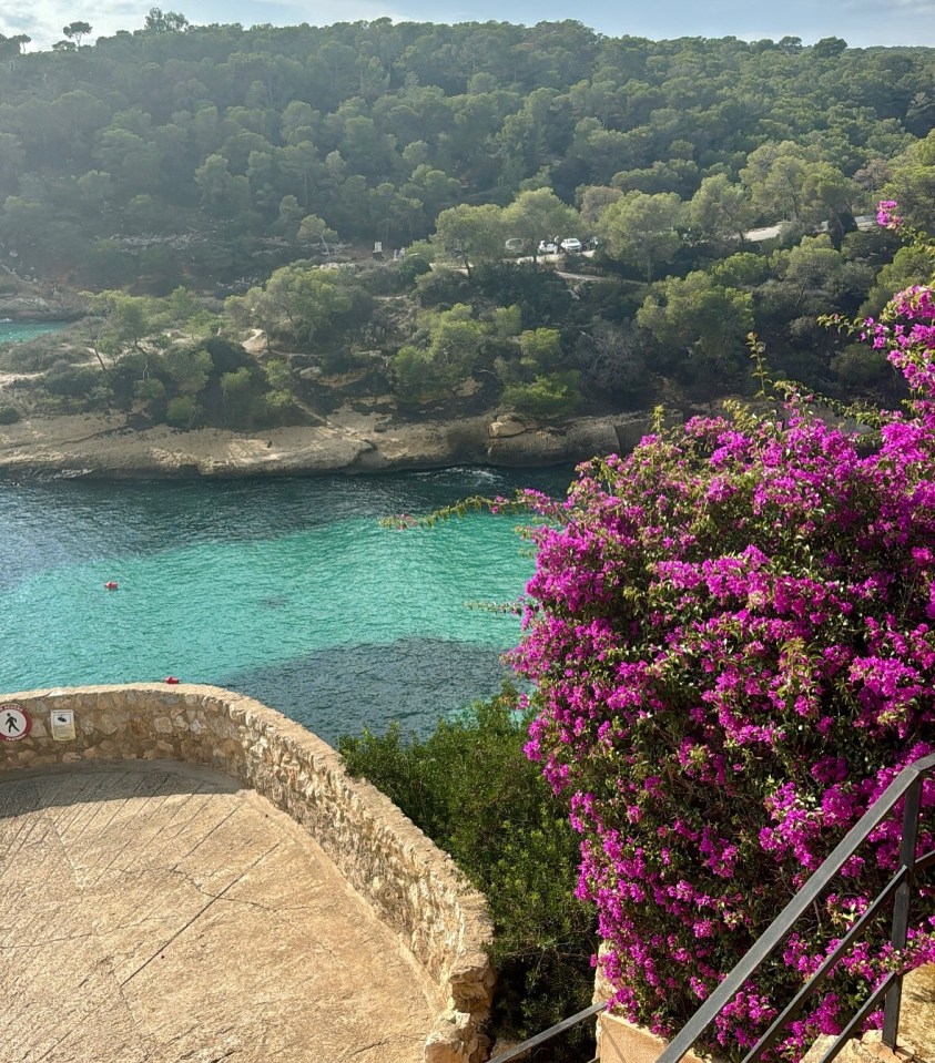 Mallorca cove with turquoise water and vibrant purple bougainvillea.