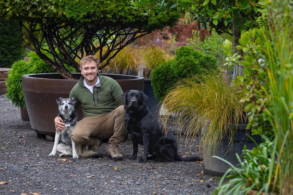 Man kneeling with two dogs in a garden center.