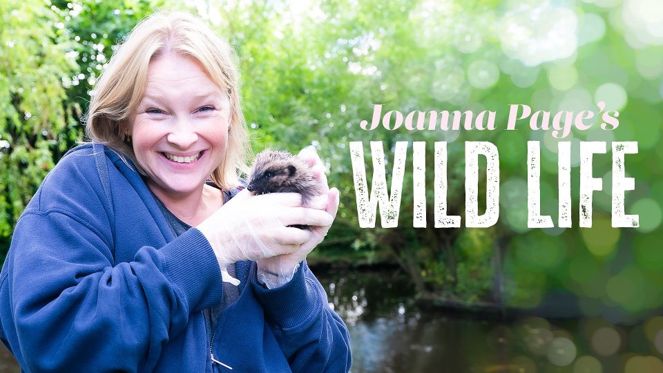 Joanna Page is in her element, rescuing hedgehogs and helping wildlife