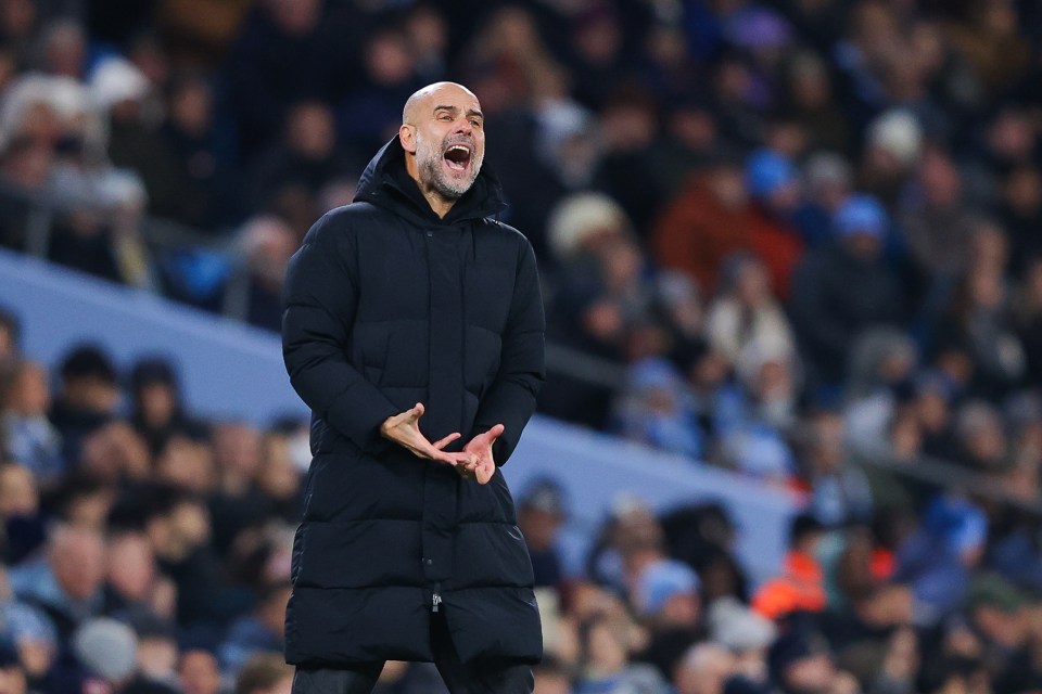 Pep Guardiola was filmed confronting a fan in the street