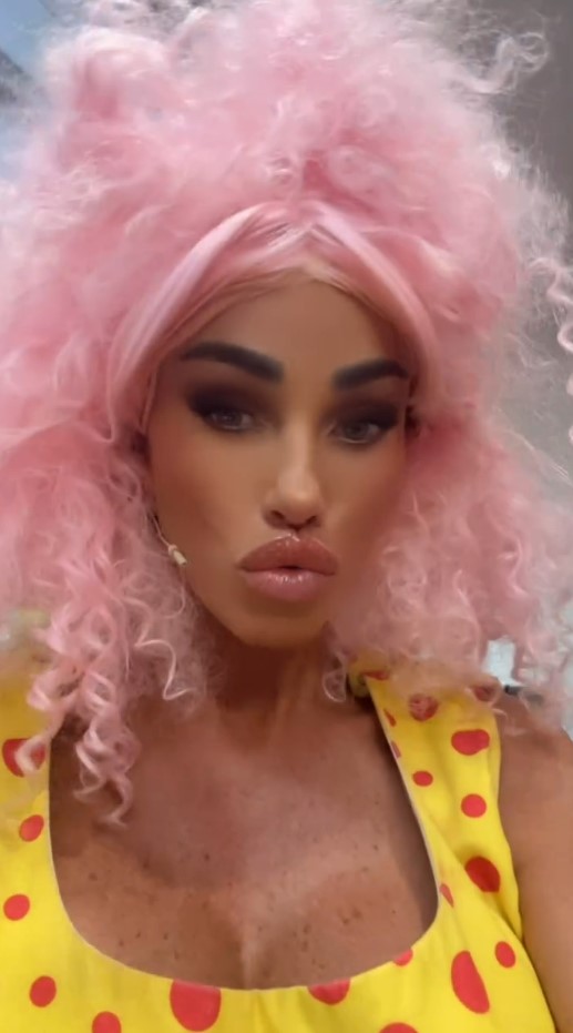 Katie Price rocked a crazy pink wig on her Instagram stories ahead of her pantomime stint