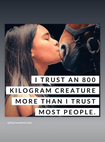 Woman kissing horse with text overlay: "I trust an 800 kilogram creature more than I trust most people."