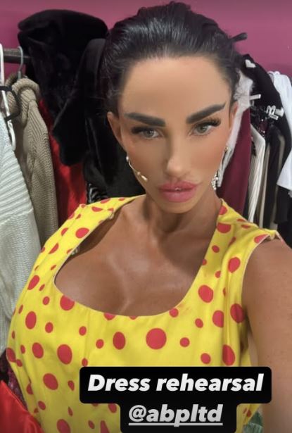 Katie Price shows off huge boob job in plunging top before making surprise transformation as she poses with Kerry Katona’s son