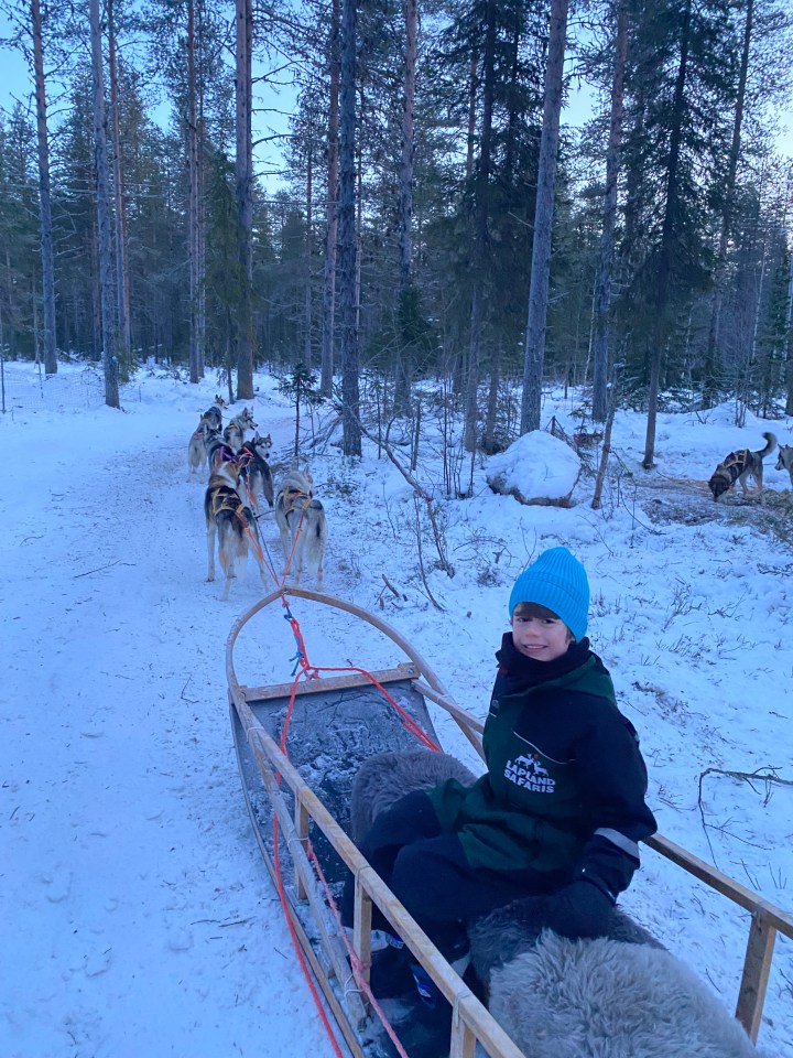 Boy on a dog sled in Lapland.