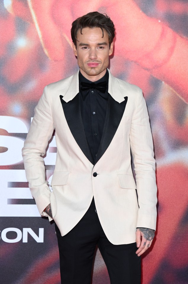 Liam Payne at the UK premiere of "All Of Those Voices."