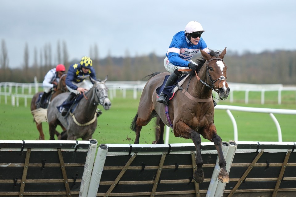 Captain Bellamy won at Newbury on Wednesday - but looks set to lose the race after Lorcan Williams broke whip rules