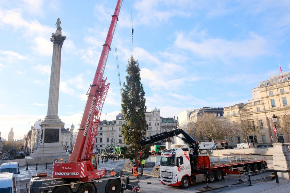 Londoners have slammed the Trafalgar Square Christmas tree again