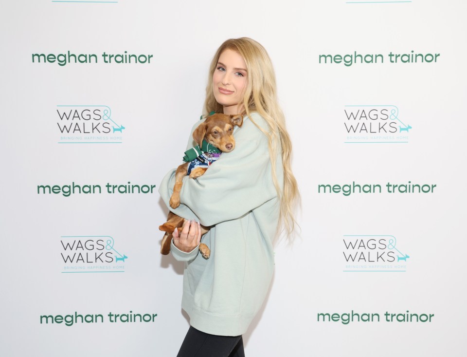 Speaking on the latest episode of her Workin’ On It podcast, Meghan Trainor confessed that she’d had ‘too much Botox’