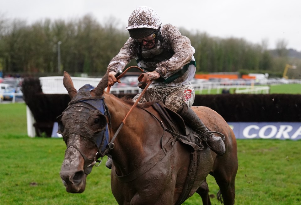 Mud-splattered jockey and horse winning a race.