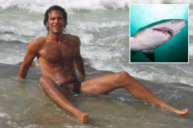 Man in swim trunks in shallow ocean water next to a sand tiger shark.