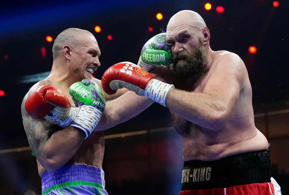 The Gypsy King went down in a unanimous points decision