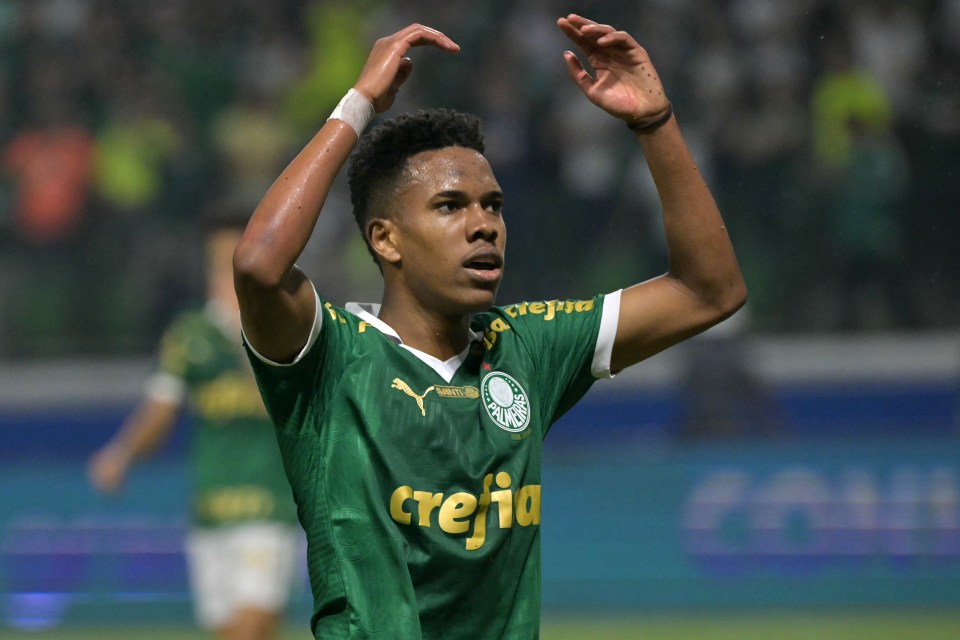 Willian Estevao, 17, bagged 19 goals and 12 assists for Palmeiras last seaosn