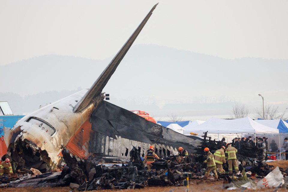 Emergency responders at the site of a plane crash.