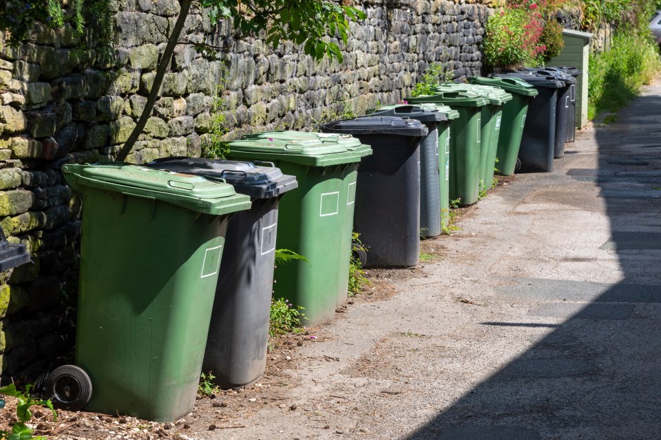 People face being fined for putting the wrong rubbish in their bins