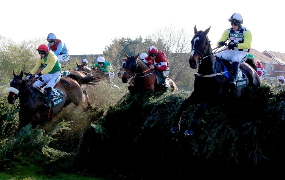 The National fences at Aintree just ain't what they used to be