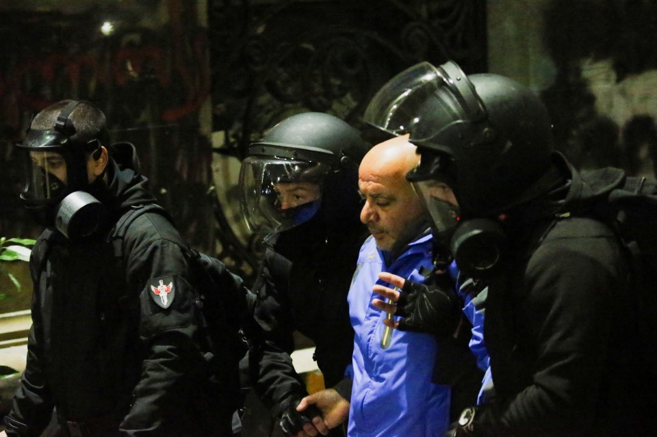 Riot police members detain a demonstrator during a protest against the new government