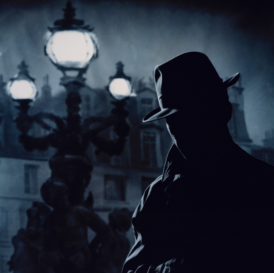 Private detectives are shadowy figures in film and literature